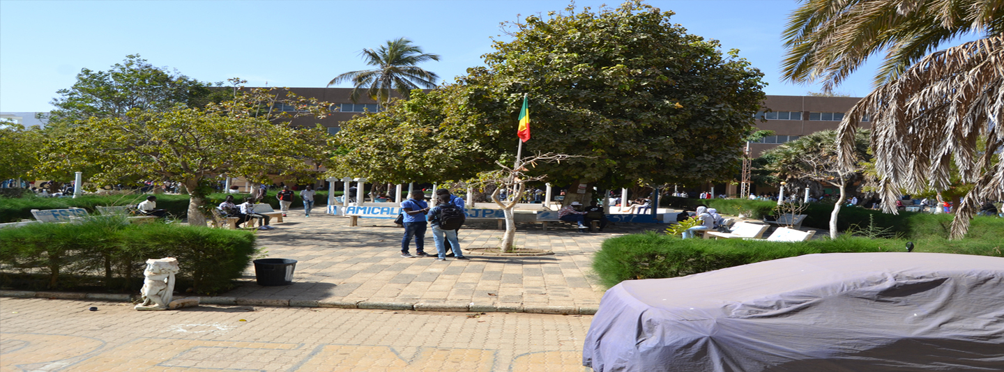 slideshow banner